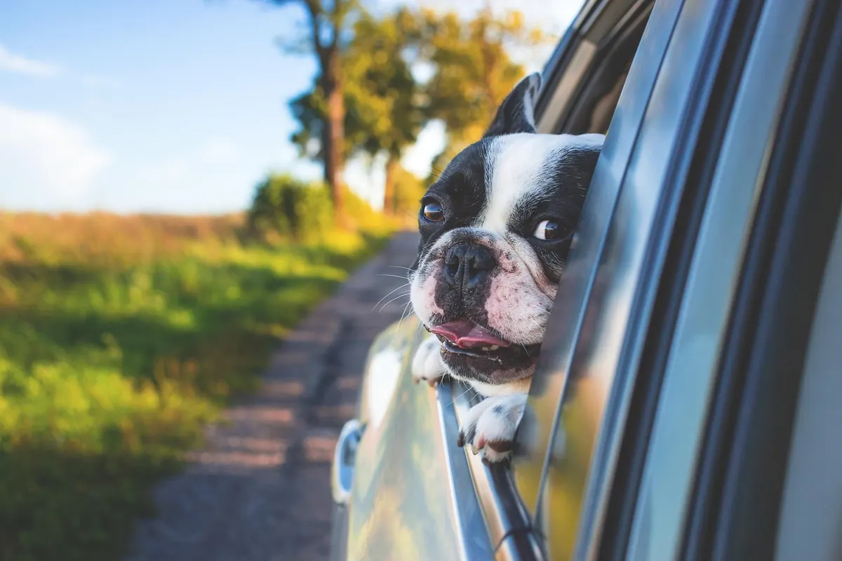 Road Trip Packing List for a 1,000-Mile Drive: What Actually Fits in a Sedan